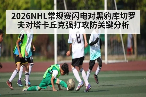 2026NHL常规赛闪电对黑豹库切罗夫对塔卡丘克强打攻防关键分析